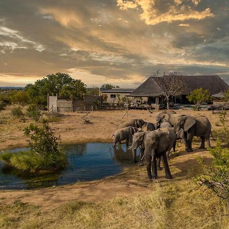 Imagine Africa Luxury Tented Camp Balule Game Reserve Exterior photo
