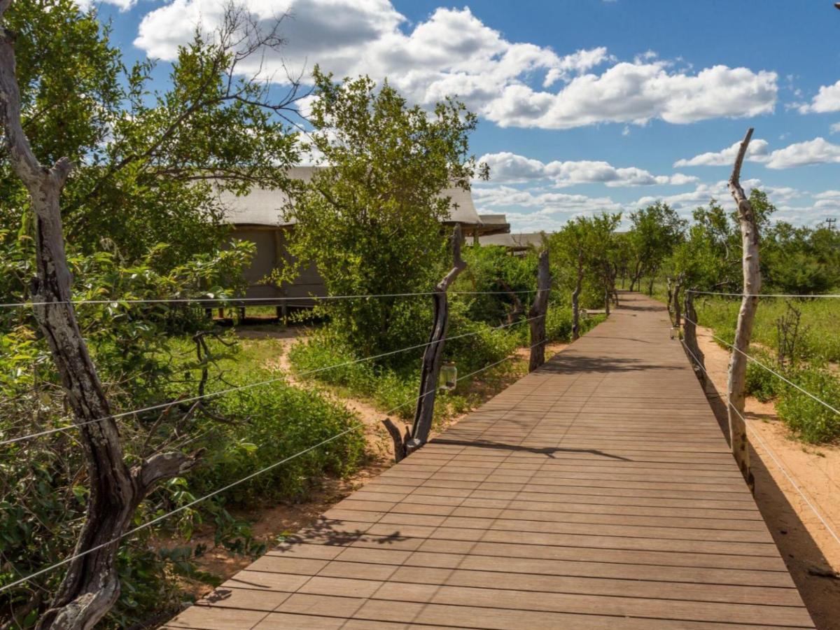 Imagine Africa Luxury Tented Camp Balule Game Reserve Exterior photo