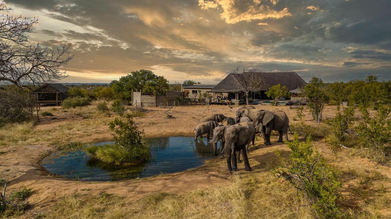 Imagine Africa Luxury Tented Camp Balule Game Reserve Exterior photo