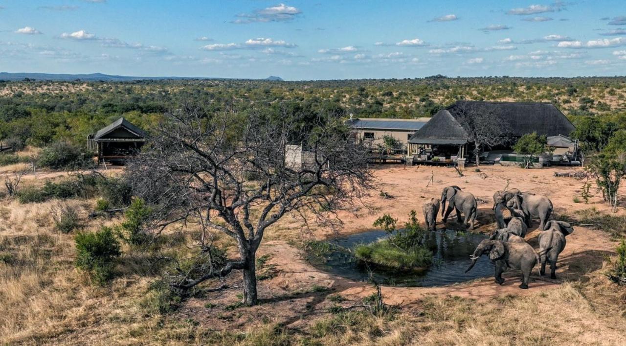 Imagine Africa Luxury Tented Camp Balule Game Reserve Exterior photo